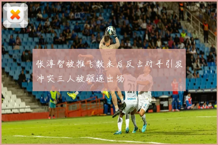 张淳智被推飞数米后反击对手引发冲突三人被驱逐出场